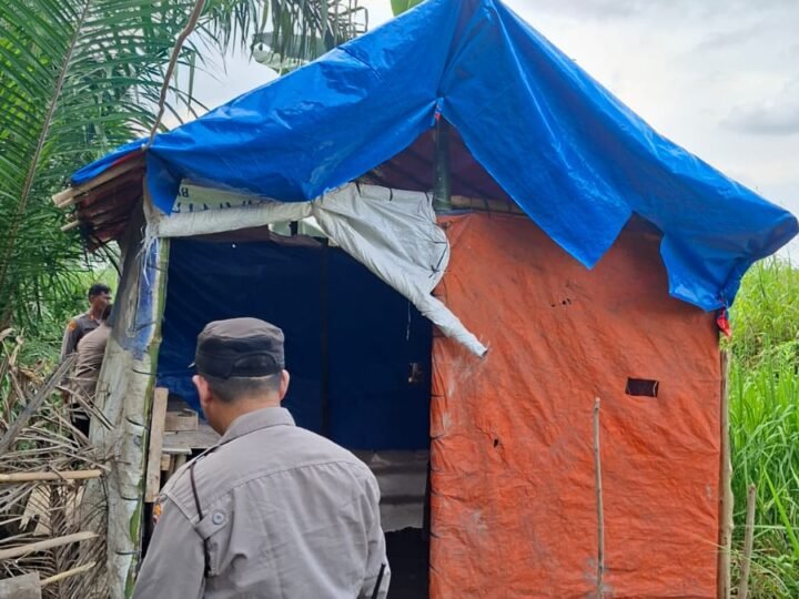 Gelar Grebek Sarang Narkoba, Polsek Sunggal Bakar Barak dan Gubuk Narkoba di Ds Sei Semayang Kec. Sunggal DS