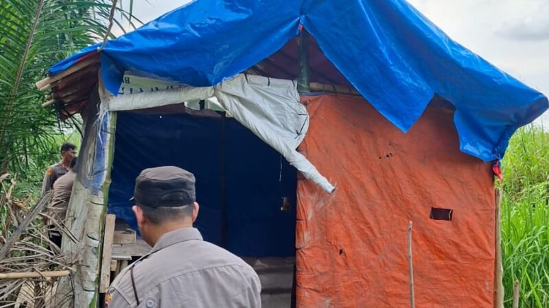 Gelar Grebek Sarang Narkoba, Polsek Sunggal Bakar Barak dan Gubuk Narkoba di Ds Sei Semayang Kec. Sunggal DS