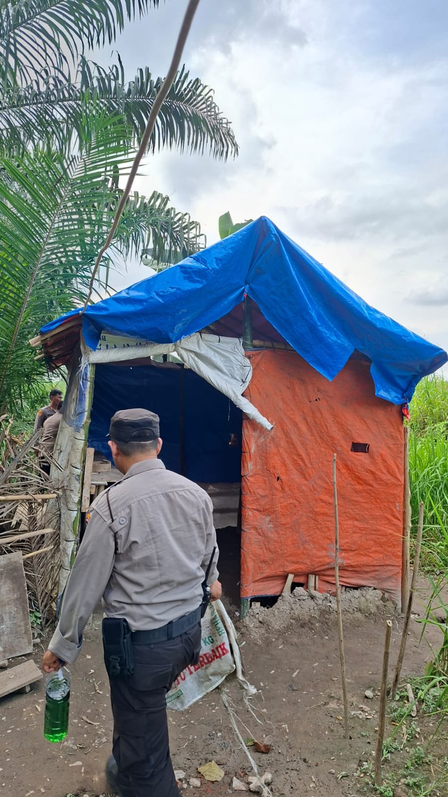 Gelar Grebek Sarang Narkoba, Polsek Sunggal Bakar Barak dan Gubuk Narkoba di Ds Sei Semayang Kec. Sunggal DS