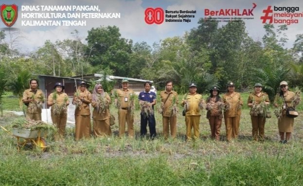 Dorong Produktivitas Petani, Dinas TPHP Kalteng Dukung Panen Bawang Merah di Tangkiling