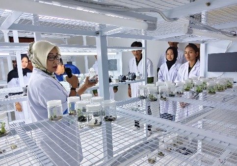 Dinas TPHP Kalteng Terima Kunjungan Lapangan Mahasiswa UMPR untuk Pembelajaran Pemuliaan Tanaman